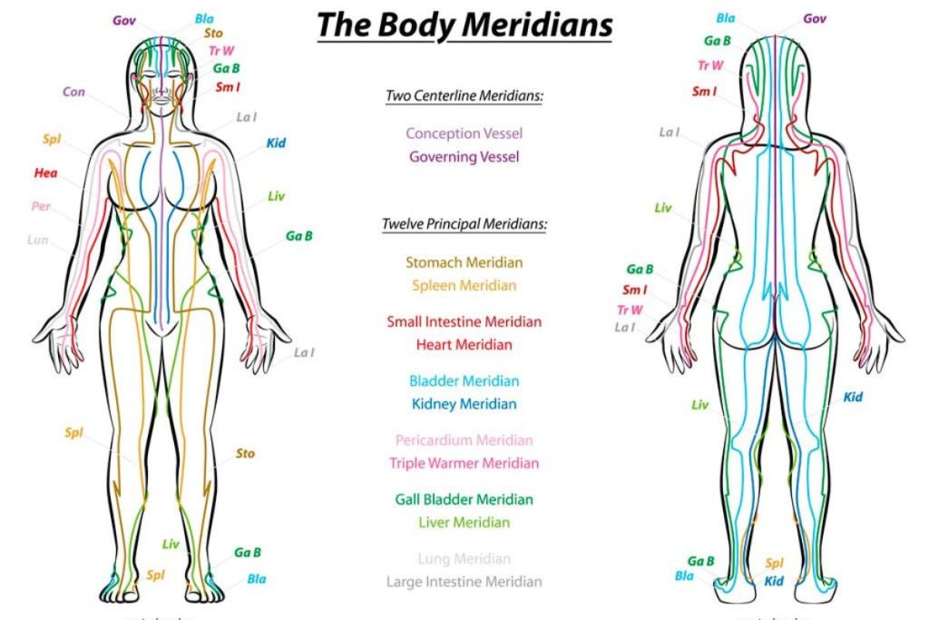 Acupuncture body meridians