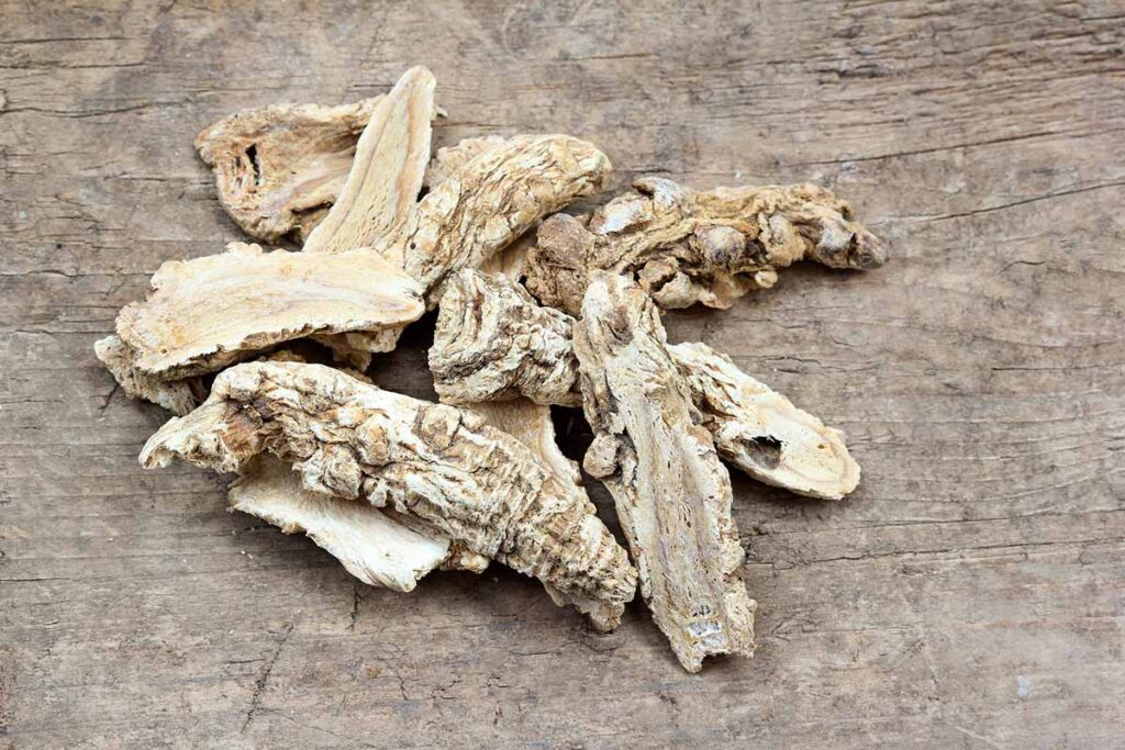 herbal menopause hot flash dong quai