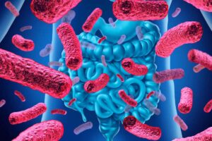 Gut-brain connection pausitive health