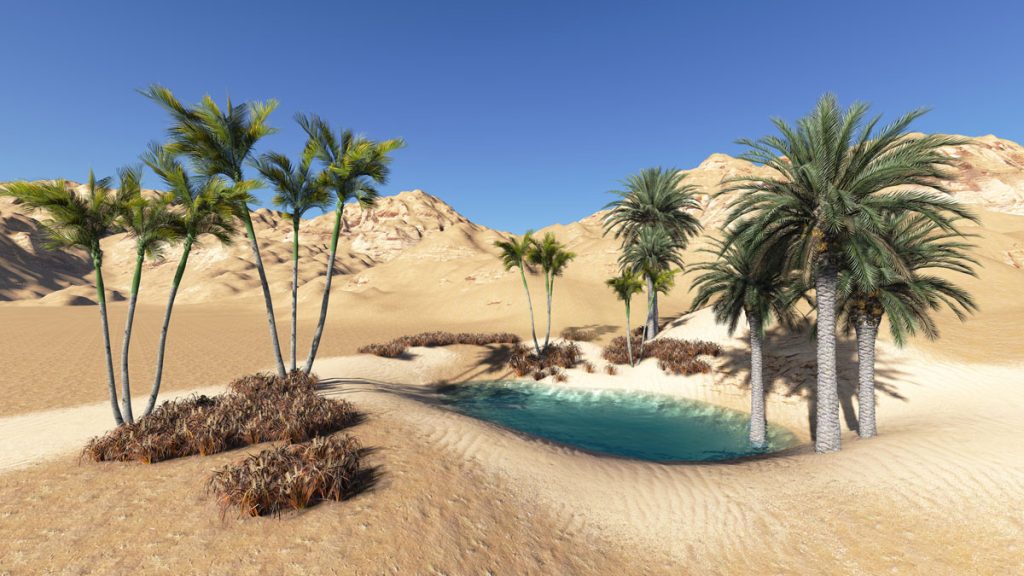 oasis in desert