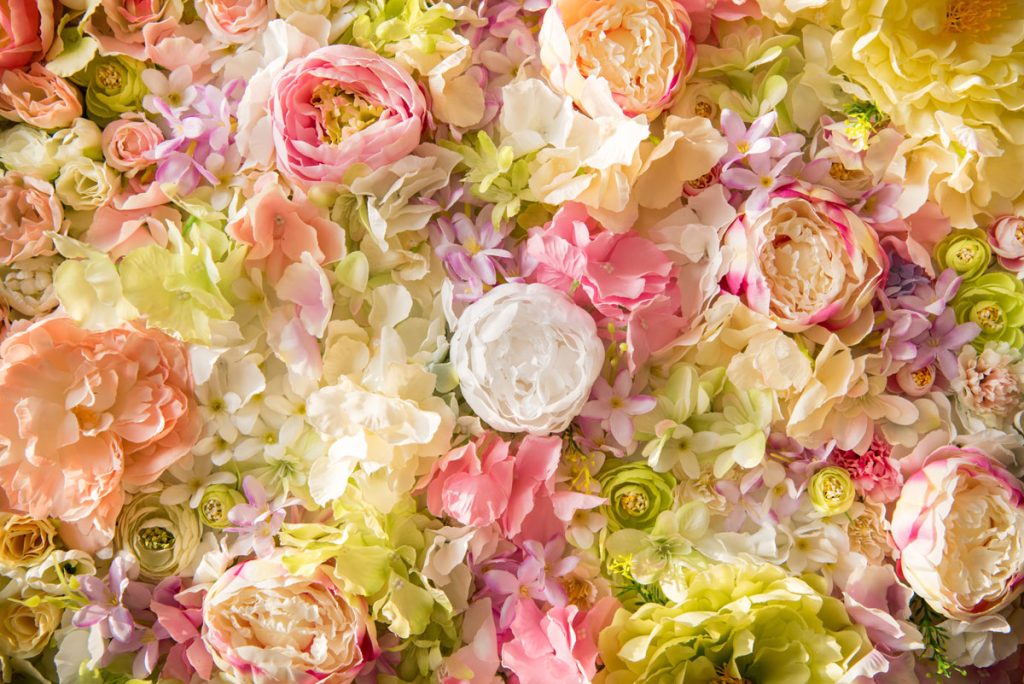 fresh flowers