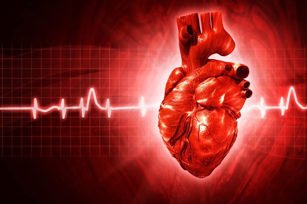 EKG and image of heart