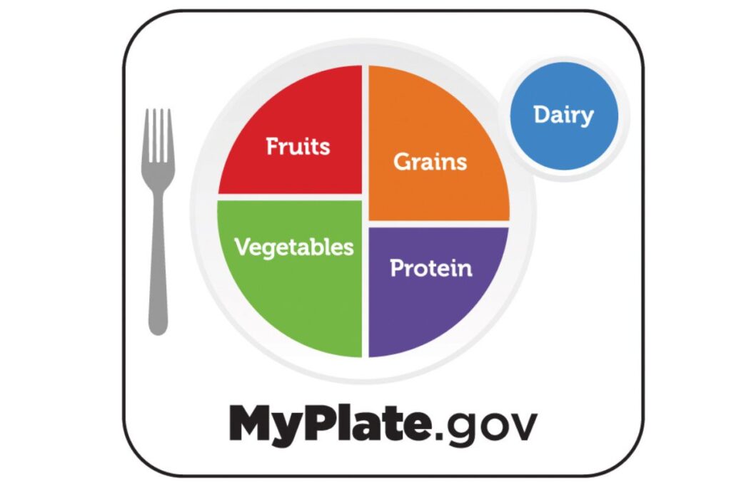MyPlate.gov depcition of what to eat on a plate