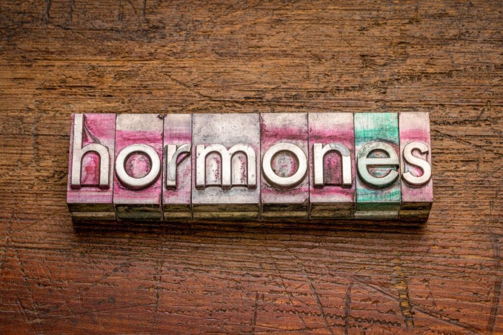 hormones in word blocks