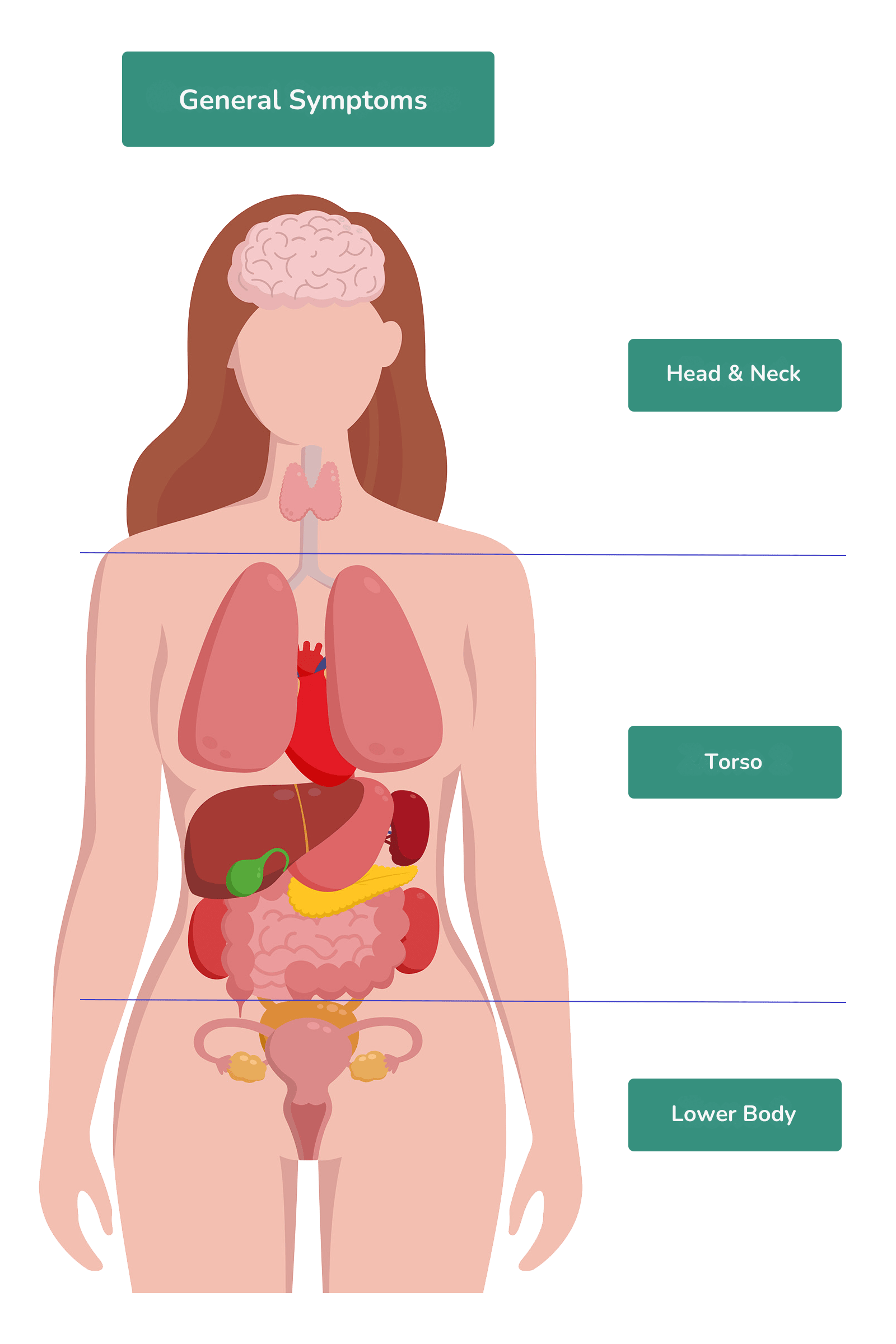 Symptoms by Zones